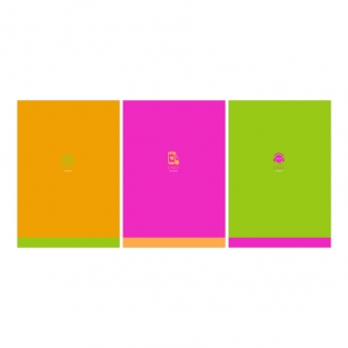 Тетрадь 80л., А4, BG Monocolor. Chat, неоновые краски (клетка)