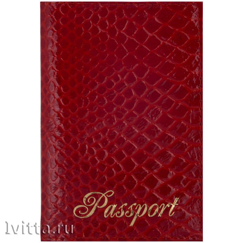 Обложка для паспорта Питон, кожа, красный